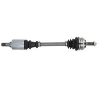 Albero di trasmissione PASCAL G2P028PC