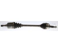 TRISCAN 8540 25729 Semiasse