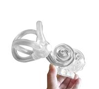 Semicircular Canal Otolith Dynamic Model, Otolith Particles Dynamic Model Inner Ear Cochlear Vestibular Rehabilitation Model Ideal for Education and Teaching Research- 20cm(Left)