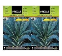 Semillas Batlle 011916BOLS col Kale Nero di Toscana, 15x8.5x2 cm (Confezione da 2)