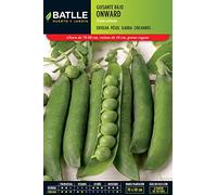 Semillas Batlle 020105K5 Guisante Onward