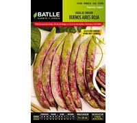 Semillas Batlle 020504K5 Judia Buenos Aires Roja S.Condor