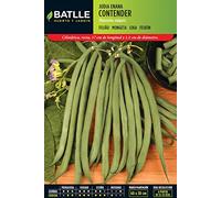 Semillas Batlle 020551K5 Judia Contender