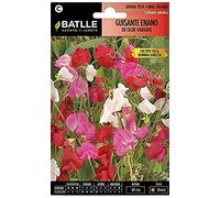 Semillas Batlle 094402BOLS Guisante Enano De Olor Vdo