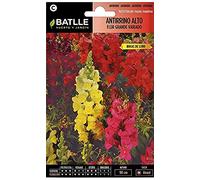 Semillas Batlle Antirrino Alto Fiore Grande Vdo.