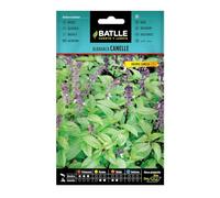 Semillas Batlle Basilico Cannelle