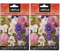 Semillas Batlle Campanula bisannuale Doppia variegata (Confezione da 2)