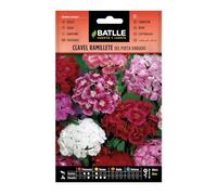 Semillas Batlle - Clavel Mobile del Poeta Vdo.
