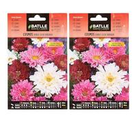 Semillas Batlle Cosmos Doppio Click (Confezione da 2)