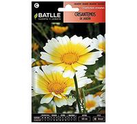 Semillas Batlle Crisantemi di Jardin
