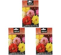 Semillas Batlle Dalia Unwin Semi Nano Doppia vda (Confezione da 3)