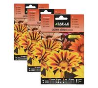 Semillas Batlle Gazania Ibrida Varie (Confezione da 3)