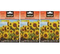 Semillas Batlle Girasole Wahoo Giallo (Confezione da 3)