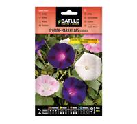 Semillas Batlle Ipomea-Maravillas trepadora vda.
