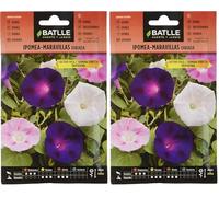 Semillas Batlle Ipomea-Maravillas trepadora vda. (Confezione da 2)