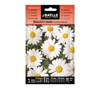 Semillas Batlle Margherita Nano Piccola Principessa