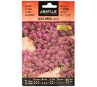 Semillas Batlle Ontano Annuale Violeta