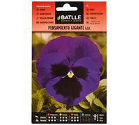 Semillas Batlle - Pensiero Gigante Blu