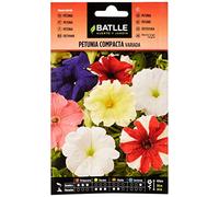 Semillas Batlle - Petunia Compacta VARIADA, Multicolore