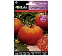 Semillas Batlle Pomodoro ibrido CARRERATO 15 F-1