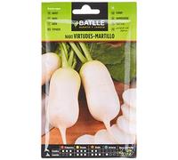 Semillas Batlle Rapa Virtù - Martello Molto precoce