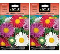 Semillas Batlle Regina Marg. Fiore Margarita (Confezione da 2)