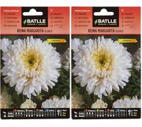 Semillas Batlle Regina Marg. Margaret Bianco (Confezione da 2)