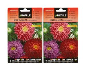 Semillas Batlle Regina Margherita, Crisantemo (Confezione da 2)