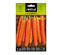 Semillas Batlle - Semi di carota