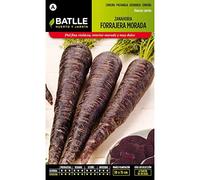 Semillas Batlle - Semi di carota