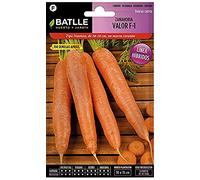 Semillas Batlle - Semi di carota