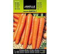 Semillas Batlle - Semi di carota