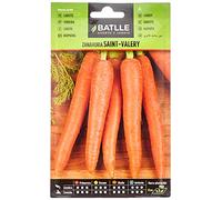 Semillas Batlle - Semi di carota