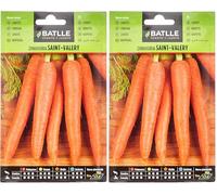 Semillas Batlle - Semi di carota (Confezione da 2)