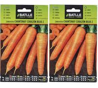 Semillas Batlle - Semi di carota (Confezione da 2)