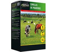 Semillas Batlle Semi di Prateria - 1kg