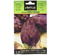 Semillas Batlle Soffione Viola Romagna