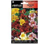 Semillas Batlle Spruzzi variegati
