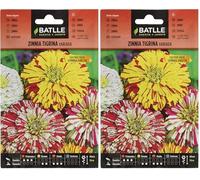Semillas Batlle Zinnia TIGRINA Vario (Confezione da 2)
