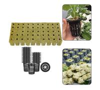 Semina Cesto Cubi Altezza 50mm Soilless Semina Spugna Frutta e Verdura di Base
