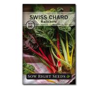 Seminare i semi giusti - Semi di bietola arcobaleno da piantare - Pacchetto di cimeli non OGM con istruzioni per piantare e coltivare un orto dom