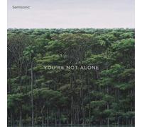Semisonic - You'Re Not Alone