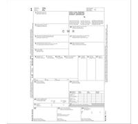 Semper Multiservice 183160000 Snap Lettera di Vettura Internazionale, CMR, 50 Pezzi