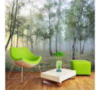 Semplice Fresco Bello Bosco Mattina Nebbia 3D Carta da Parati Premium Aspetto Della Seta Studio Soggiorno Camera Letto Parete Divano Muro-350cm×256cm