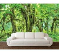 Semplice Fresco Bello Verde Bosco Vecchio Albero Carta Da Parati 3D Seta lusso Studio Sala Pranzo Divano Camera Per Mobili Letto Soggiorno Tv Muro-430cm×300cm