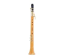Semplice Sassofono Adulto Bambini Principiante Sassofono Mini Tascabile Strumento Musicale Ad Ancia Contralto Kit principianti sax (Color : Ggold)