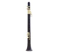 Semplice Sassofono Adulto Bambini Principiante Sassofono Mini Tascabile Strumento Musicale Ad Ancia Contralto Kit principianti sax (Color : Gblack)