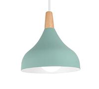 semplicità Lampada a Sospensione Personalizzata Ristorante Luci a Sospensione vuote Paralume in Metallo alla Lampadario LED Piccola Sala da Pranzo Plafoniera Ombra Magazzino Lampada a Sospensione