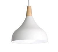 semplicità Lampada a Sospensione Personalizzata Ristorante Luci a Sospensione vuote Paralume in Metallo alla Lampadario LED Piccola Sala da Pranzo Plafoniera Ombra Magazzino Lampada a Sospensione