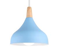 semplicità Lampada a Sospensione Personalizzata Ristorante Luci a Sospensione vuote Paralume in Metallo alla Lampadario LED Piccola Sala da Pranzo Plafoniera Ombra Magazzino Lampada a Sospensione